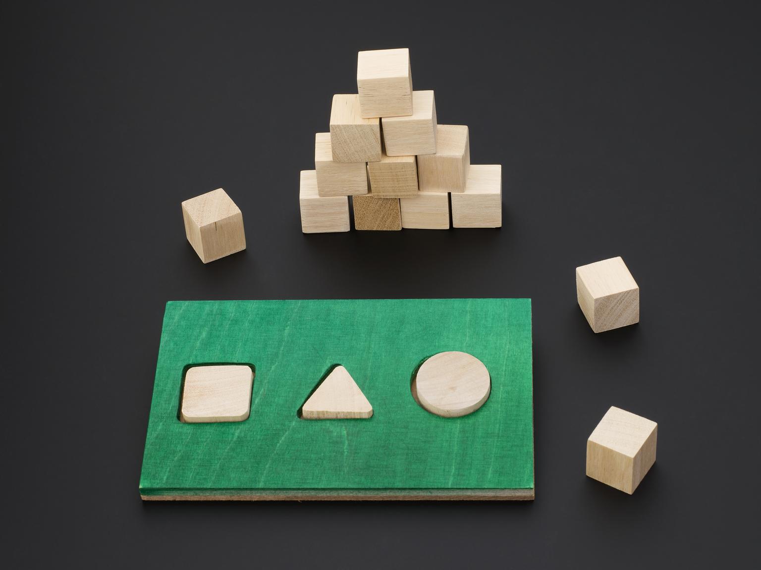 Stanford Binet Intelligence Scale for Children